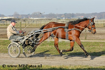 _MBF0712.jpg