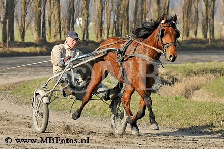 _MBF0748.jpg