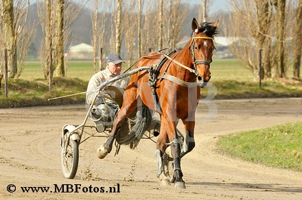 _MBF1450.jpg