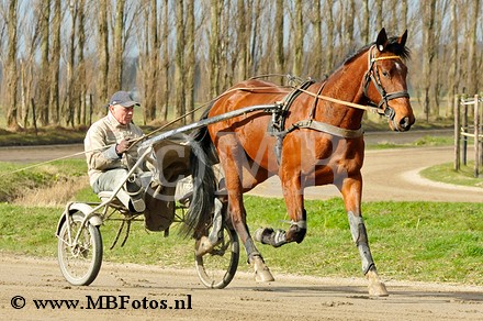 _MBF1453.jpg