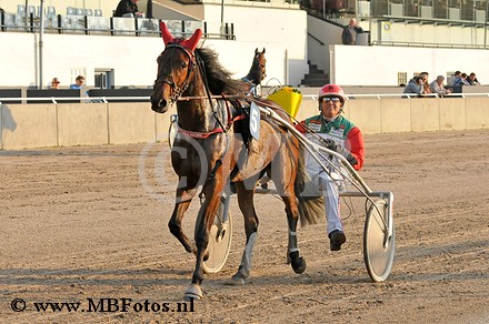 Koers 2. Iyan Stardust2.jpg