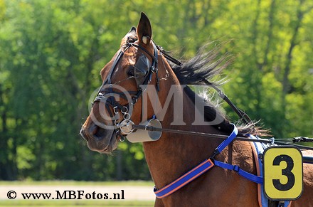 MBF_9786.jpg