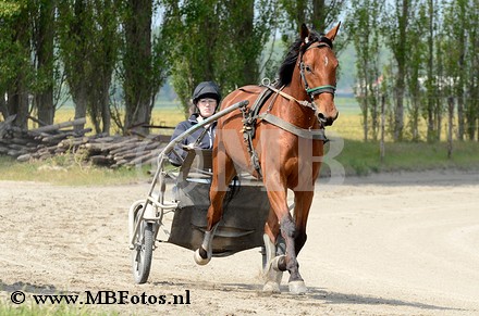 _MBF0645.jpg