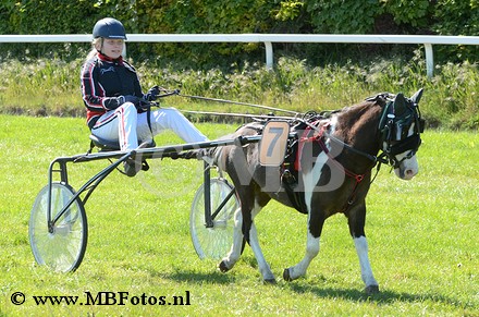 MBF_0381.jpg