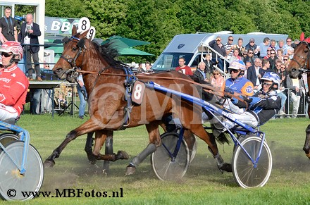_MBF2013.jpg