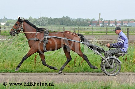 _MBF6737.jpg