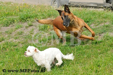 _MBF6779.jpg