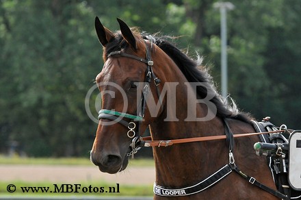 _MBF7176.jpg
