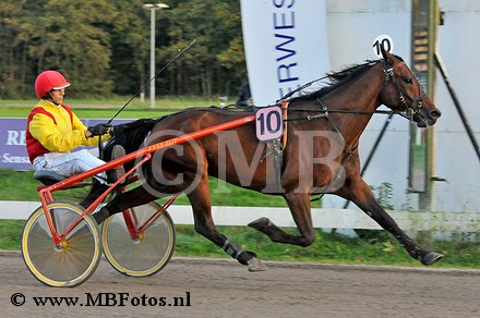 Koers 10. Gufo Greenwood1.jpg