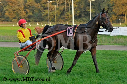 Koers 10. Gufo Greenwood3.jpg