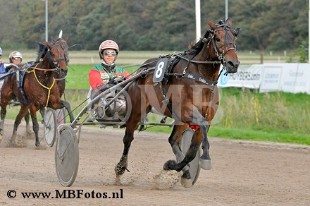Koers 6. Iris de llton.jpg