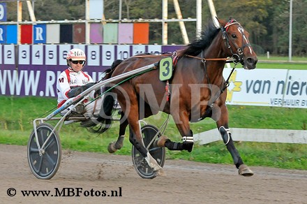 Koers 9. Golden Avenue.jpg