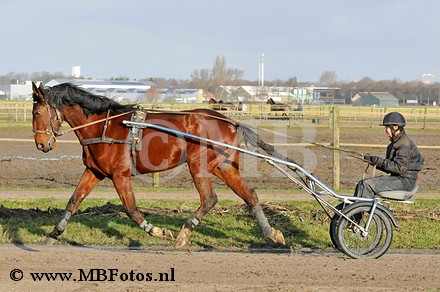 _MBF7760.jpg