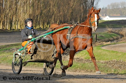 _MBF7764.jpg