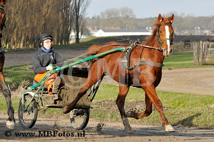 _MBF7766.jpg