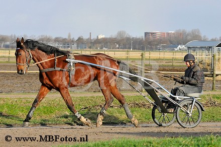 _MBF7780.jpg