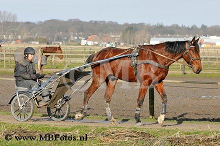 _MBF7836.jpg