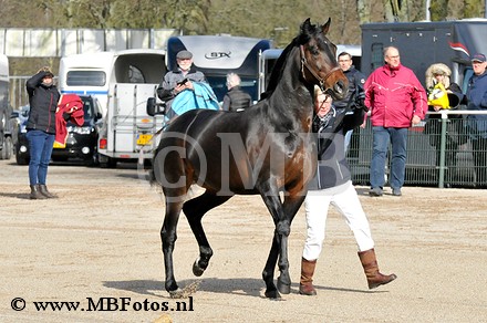 Cornway Fortuna1.jpg