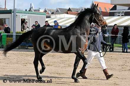 Cornway Fortuna8.jpg