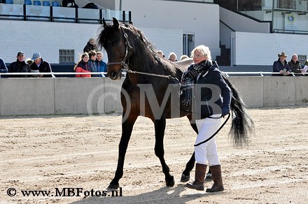 Cornway Fortuna11.jpg