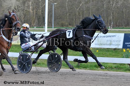 Koers 5. Jungle Renka1.jpg