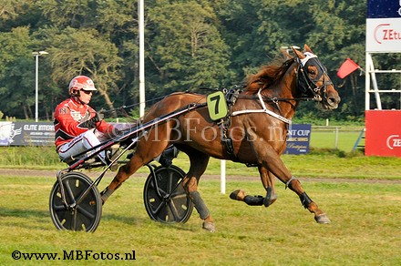 Koers 9. Warhorse Hazelaar.jpg