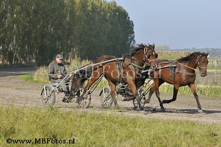 _MBF7074.jpg