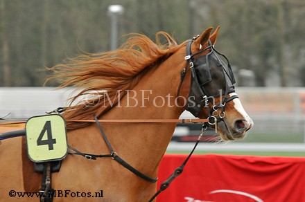 _MBF0753.jpg