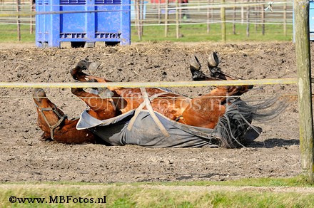 _MBF1699.jpg