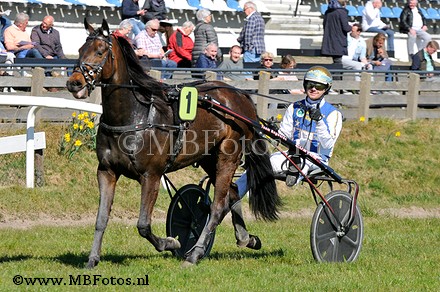 Koers 1. I Am Vink2.jpg
