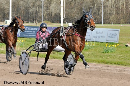 Koers 7. Gipsy Occagnes.jpg