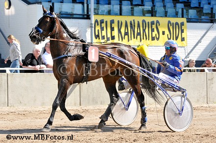 Koers 7. Jumilla2.jpg