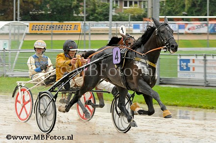 Koers 8. Mick N. Boko1.jpg