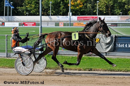 Koers 4. Hindy Heikant1.jpg