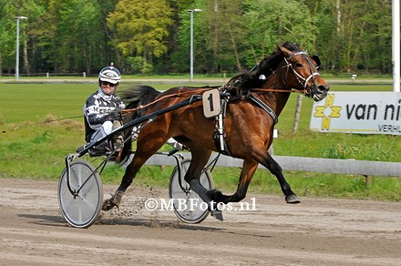 Koers 7. Kumanu Fortuna1.jpg