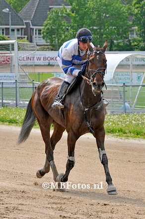 Koers 4. Inola de Loisel 3.jpg