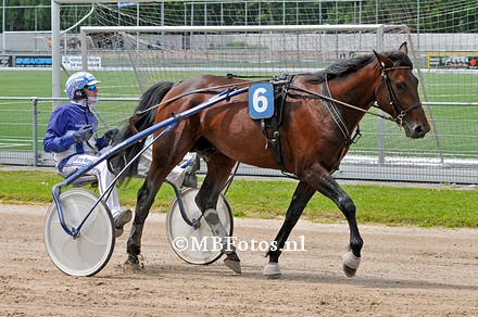 Koers 2. Vasterbo Castor3.jpg