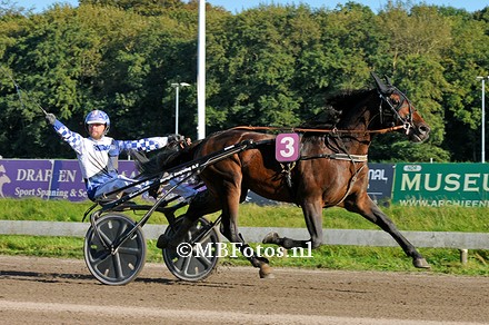 Koers 8. Novato2.jpg