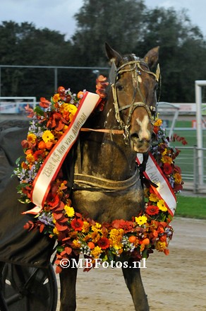 Koers 10. Divine Monceau4.jpg