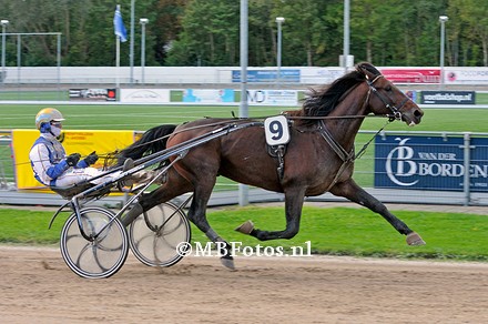 Koers 5. Vasterbo Castor1.jpg