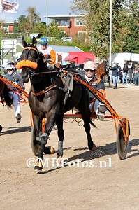 _MBF1613.jpg