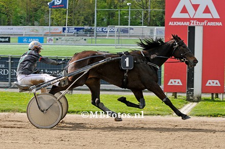 Koers 6. Michelle W.jpg