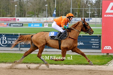 Koers 5. Hopium1.jpg