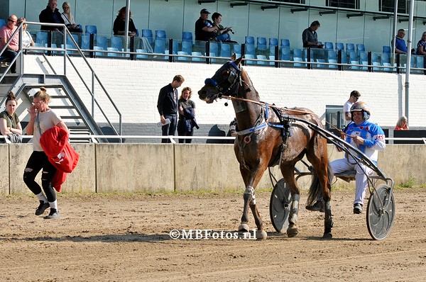 Koers 1. Moonshine Meadow3.jpg