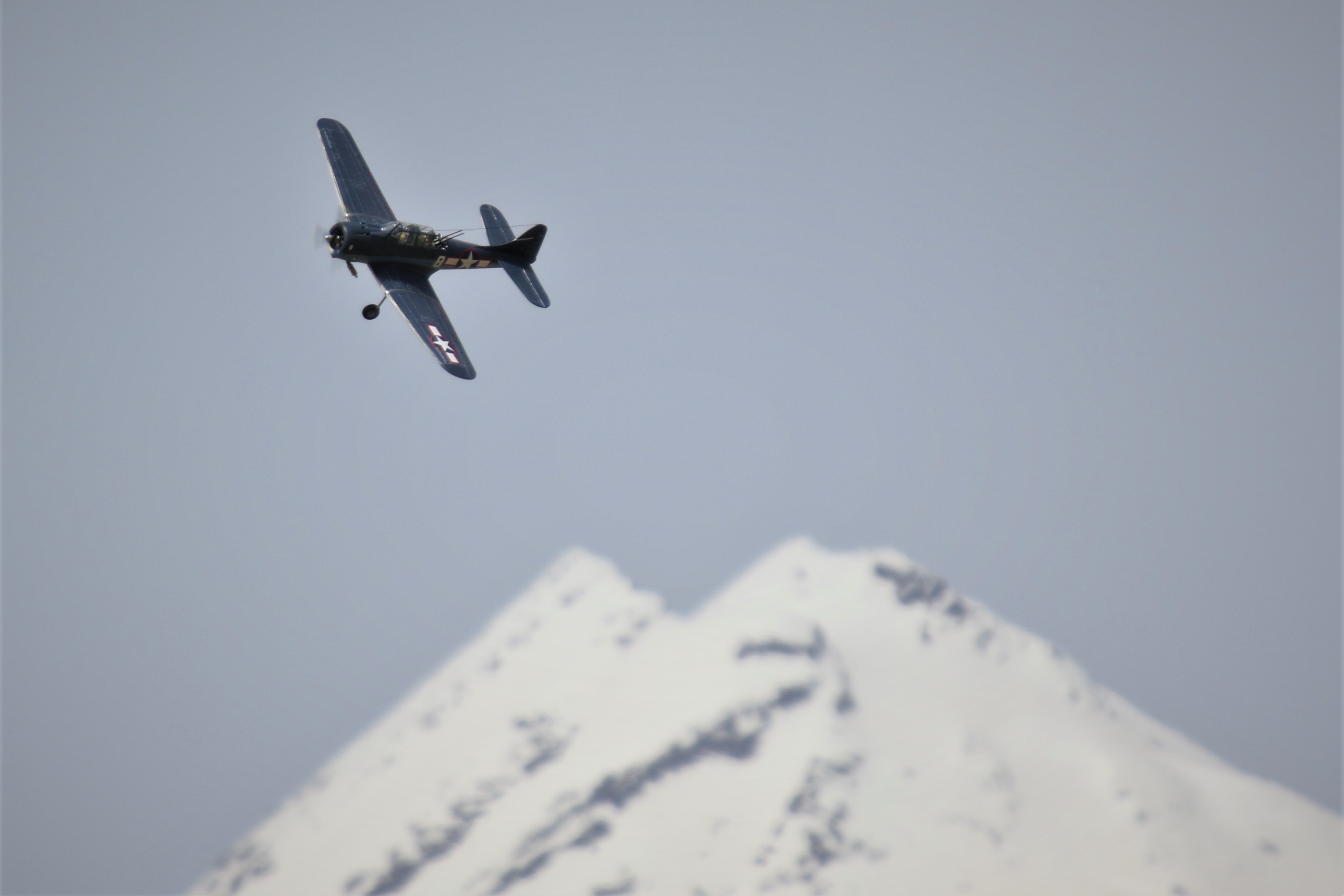 Daves Dauntless, 0T8A2430 (2).JPG