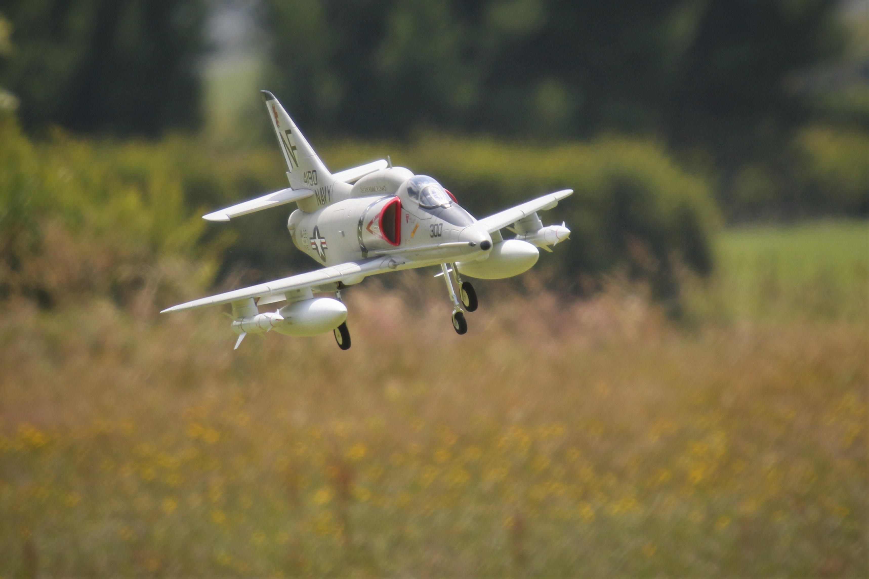 Skyhawk by Monet, 0T8A6867 (2).JPG