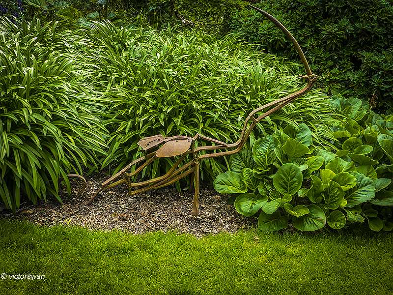 Arboretum Kalmthout