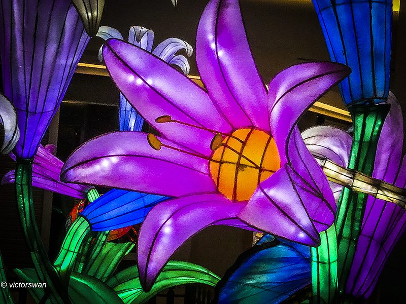 Chinese light showJPG
