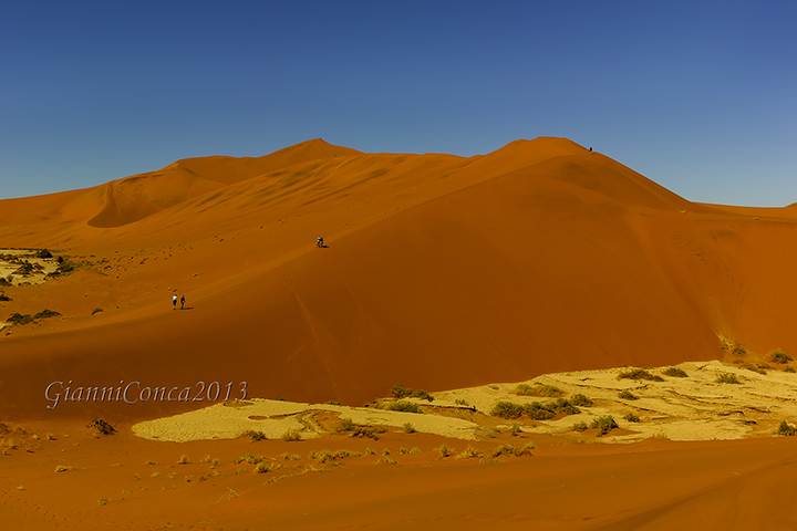 The dunes