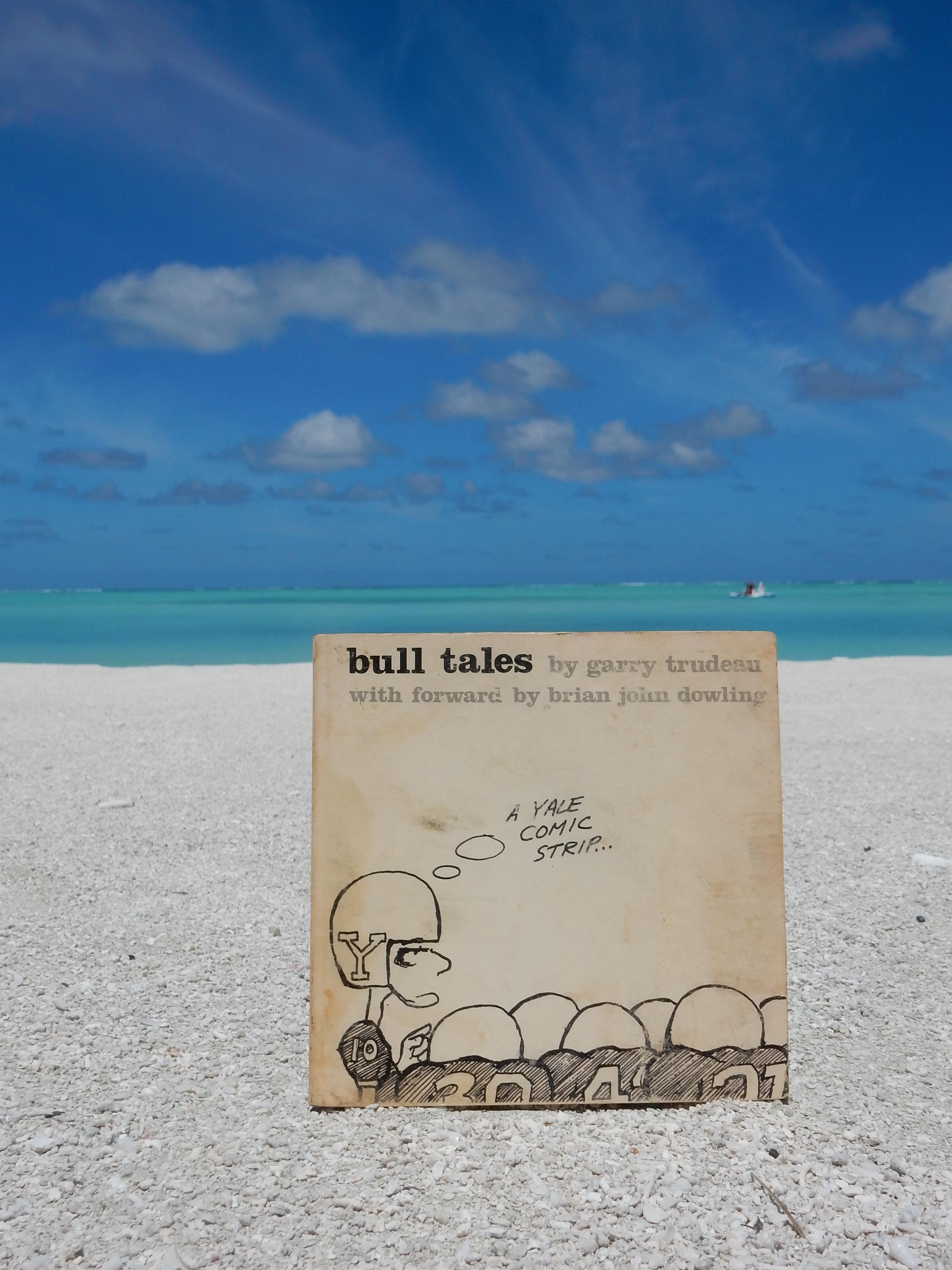 Bull Tales in the Maldives 2017